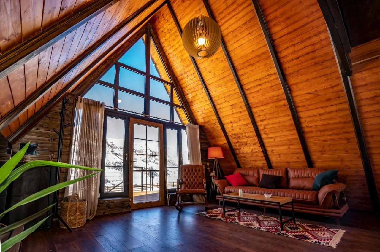 Voyager Villa Kazbegi Bagian luar foto